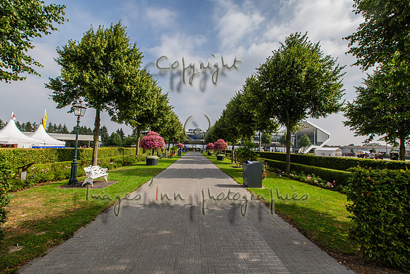 20150811_EKL_0032
