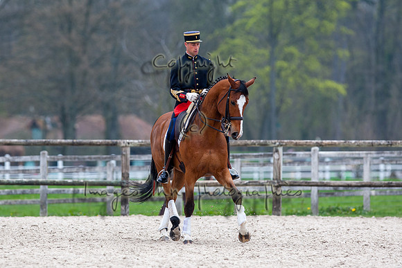 20090405_EKL_0053
