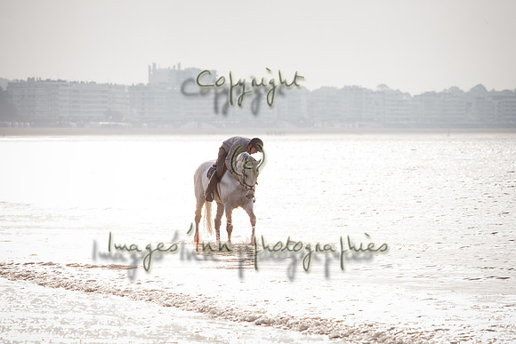 20160514_EKL_0065