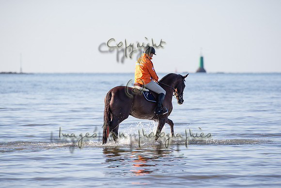 20160515_EKL_0015