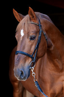 20081025_EKL_0023