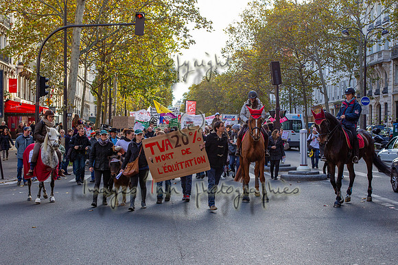 20131111_EKL_0084