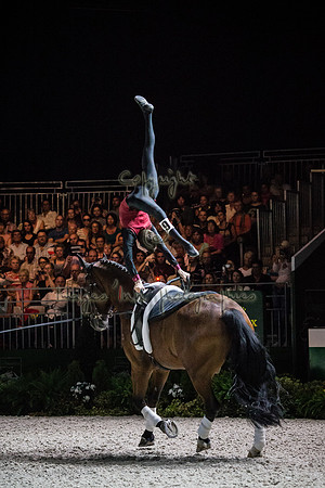 20140905_EKL_02801