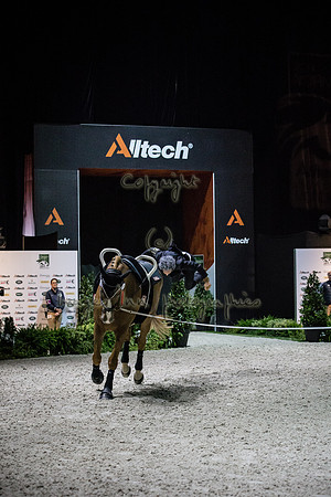 20140905_EKL_03021
