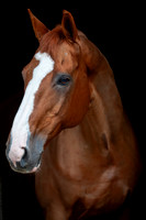 20081021_EKL_0006