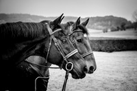 20181116_EKL_0872