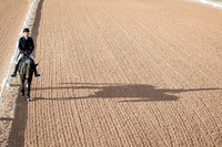 Dressage