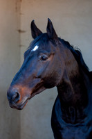 20081025_EKL_0004