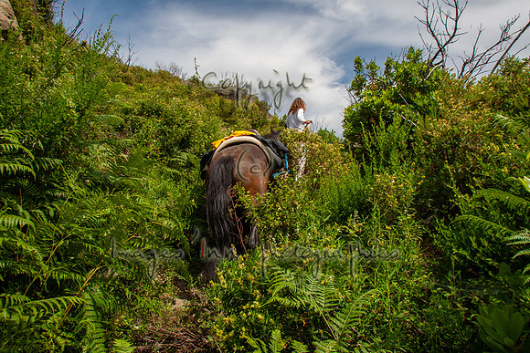20090610_EKL_0021
