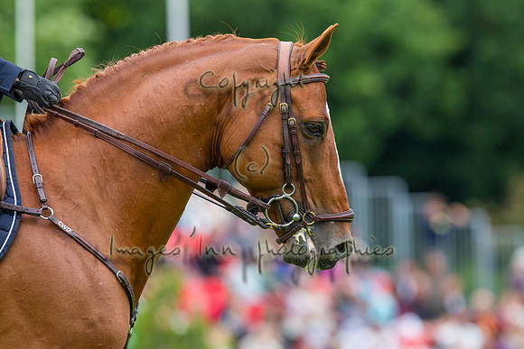 20120603_EKL_0078