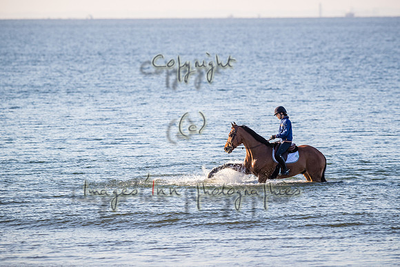 20180519_EKL_0007