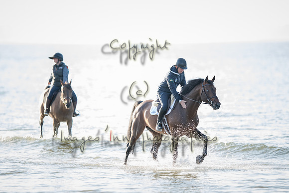 20180519_EKL_0026