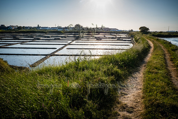 20180519_EKL_0256