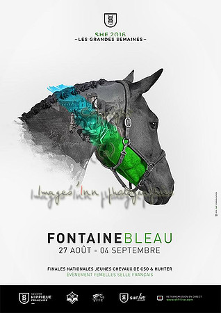 Fontainebleau 2016 SHF