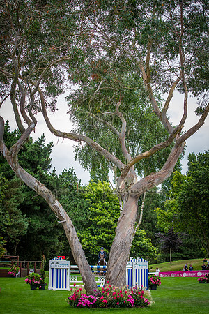 20160728_EKL_0203