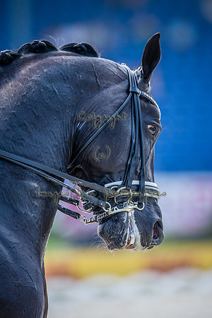 20150813_EKL_0251
