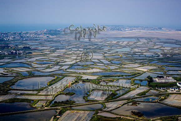 20190518_EKL_0026