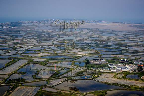 20190518_EKL_0027