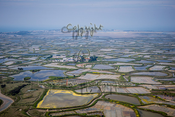 20190518_EKL_0070