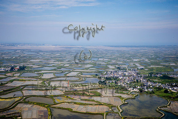20190518_EKL_0072