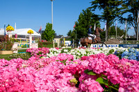 20130517_EKL_0313