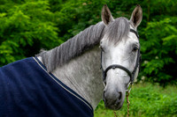 20080607_EKL_0005