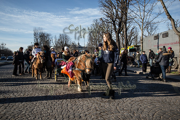 20150101_EKL_00138