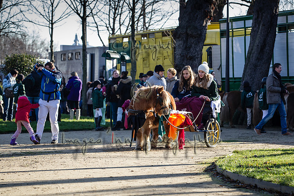 20150101_EKL_00065