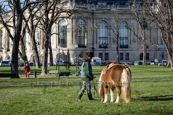 20150101_EKL_00054