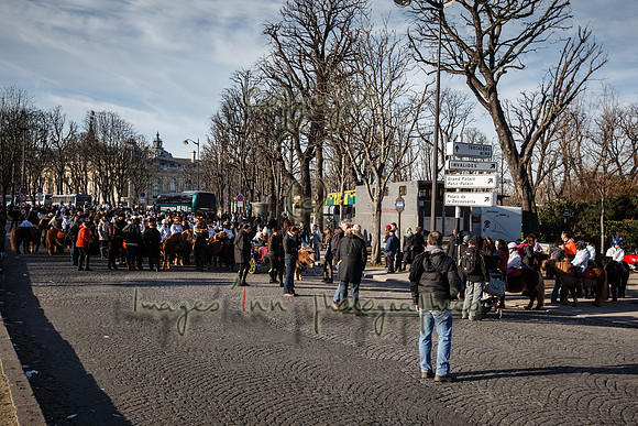 20150101_EKL_00184