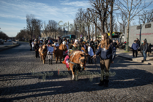 20150101_EKL_00131