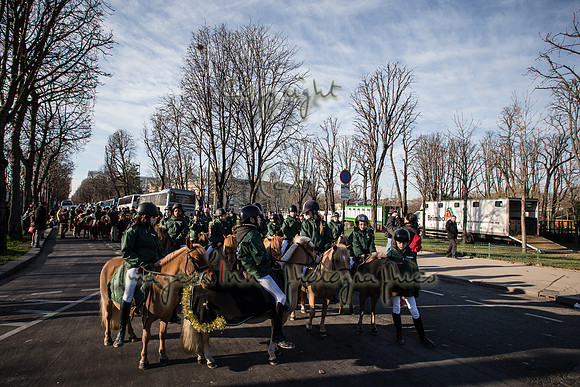 20150101_EKL_00192