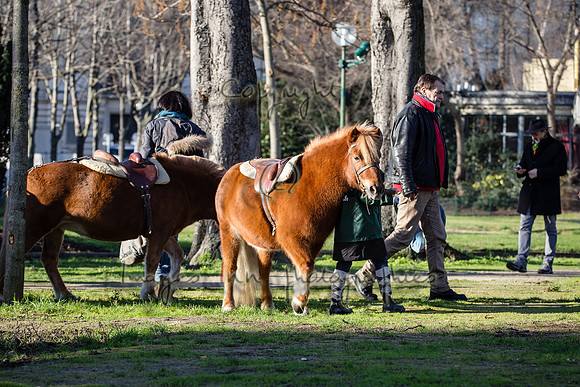 20150101_EKL_00075