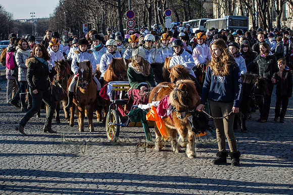 20150101_EKL_00160