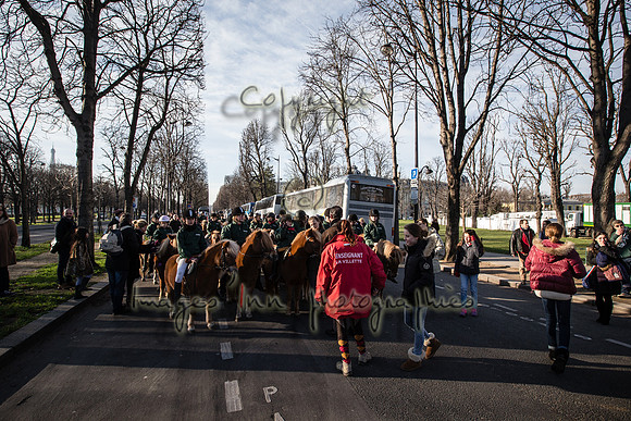 20150101_EKL_00194