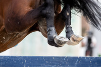 20150704_EKL_00560