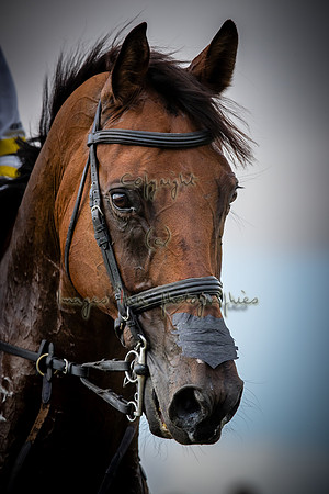 20190810_EKL_0225