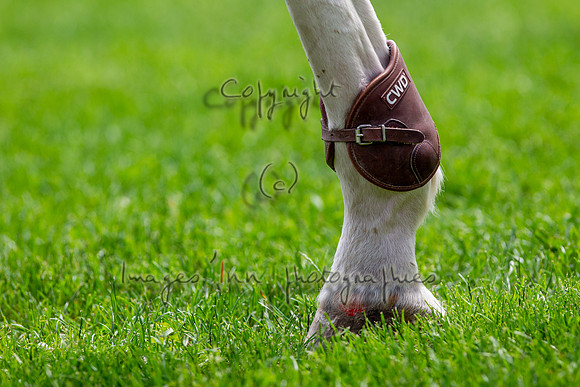 20130608_EKL_0221