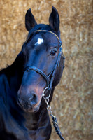 20081025_EKL_0003