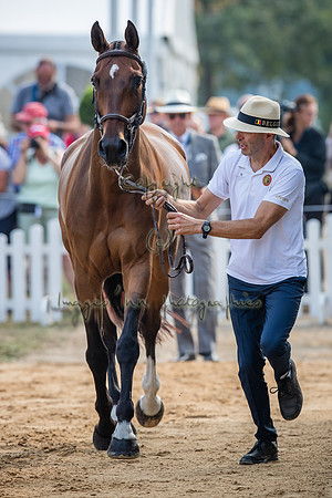 20190828_EKL_0046