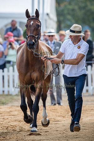 20190828_EKL_0047