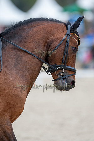 20090405_EKL_0021