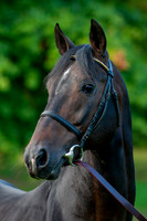 20081002_EKL_0017