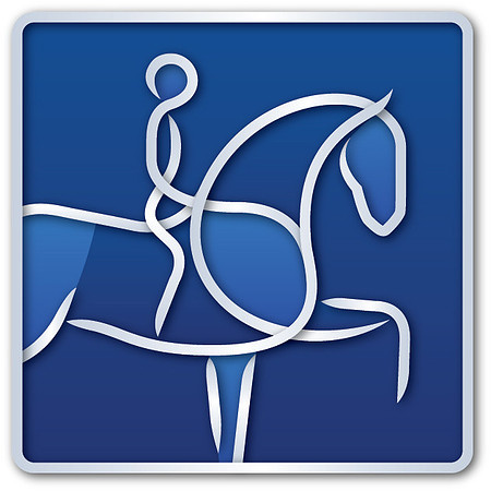 Dressage TOUS