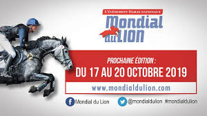 Lion d'Angers 2019