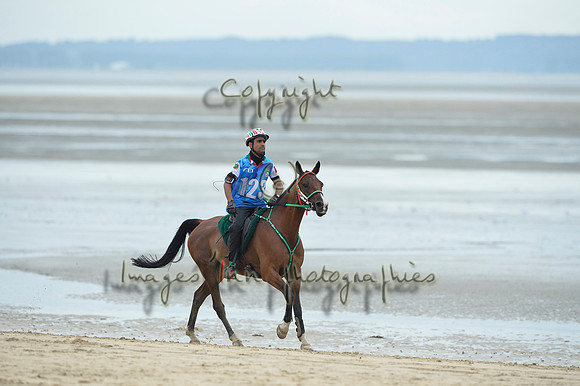 HR_BRICOT_2014CH0034717
