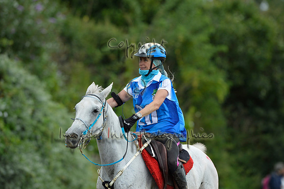 HR_BRICOT_2014CH0033958