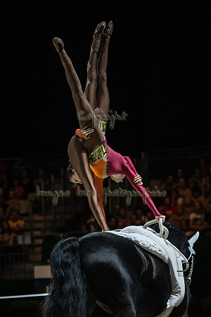 20140905_EKL_01250