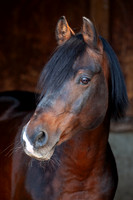 20081003_EKL_0027