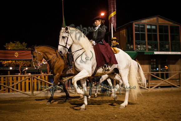 20071108_J7T_0051